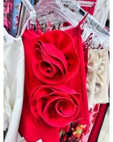 SPÓDNICO SPODENKI ▪️ROSES GIRL