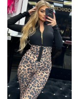 MODELUJĄCE LEGGINSY z haftowkami ▪️panterka